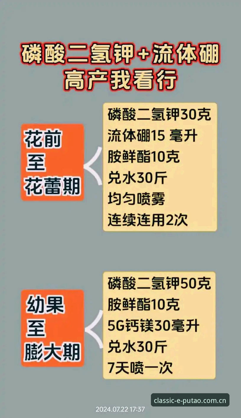 新葡萄体育官网安全下载使用全维度评测：从经典回归到2024全新体验